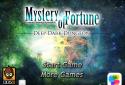 Mystery of Fortune screenshot 1
