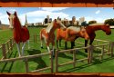 Horse Show Jumping Challenge screenshot 8