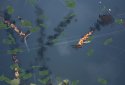 Tap Flight : Beyond Tail screenshot 4