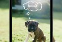 Photo Editor by Aviary screenshot 4