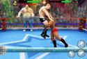 World Tag Team Wrestling Revolution Championship screenshot 1
