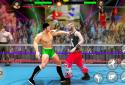 World Tag Team Wrestling Revolution Championship screenshot 3