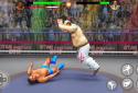 World Tag Team Wrestling Revolution Championship screenshot 5