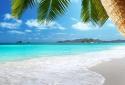 Tropical Beach Live Wallpaper screenshot 2
