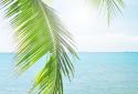 Tropical Beach Live Wallpaper screenshot 3