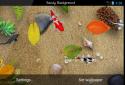 Koi Free 3D Live Wallpaper screenshot 9