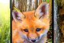 3D animals parallax live wallpaper screenshot 2