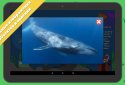Детская энциклопедия — Woncy screenshot 12