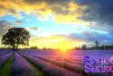 Coucher de soleil parfait screenshot 7