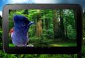 3D birds parallax live wallpaper screenshot 11