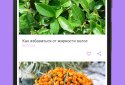 Уроки красоты screenshot 2