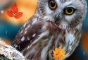 Autumn Live Wallpaper screenshot 1