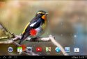 Autumn Live Wallpaper screenshot 13