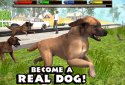 Ultimate Dog Simulator screenshot 1