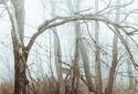 Thin Ice screenshot 1