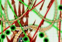 Bullet Hell Monday screenshot 5