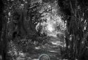 Hide and Seek screenshot 2
