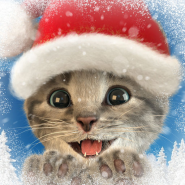 Маленький котенок