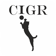 Cigr - live photo from video