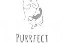 Purrfect Spirits screenshot 1