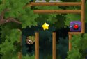 Doctor Acorn -Forest Bumblebee Journey screenshot 5
