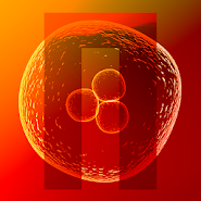 Nuclien