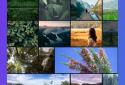 Canva - Free Photo Editor & Graphic Design Tool screenshot 13