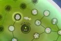 Tiny Bubbles screenshot 2