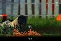 Nicky - The Home alone Golf Ball screenshot 1