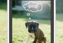 Aviary screenshot 5