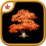 Fire Maple Games Collection