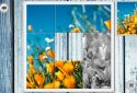 IMAGEine  screenshot 4