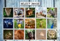 IMAGEine  screenshot 6