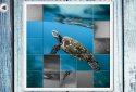 IMAGEine  screenshot 8