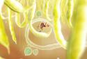 Botanicula screenshot 2