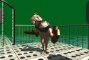 Face Puncher screenshot 4