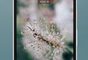 Moment - Pro Camera screenshot 4