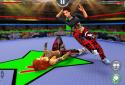 Women Wrestling Revolution screenshot 4