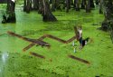 Alligator & Max (No Ads) screenshot 9