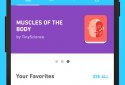 Tinycards by Duolingo: Fun & Free Flashcards screenshot 1