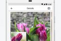 PictureThis - Plant Identification screenshot 3