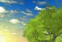 Nature Tree Milky Way live wallpaper screenshot 7