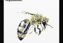 Anamorph  screenshot 5