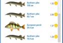 Fishing Baron - realistic fishing simulator. screenshot 5