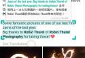 Screen Translator screenshot 8