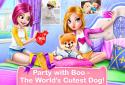 Boo - The Worlds Cutest Dog screenshot 5