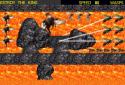 WASPS in BELARUS screenshot 7