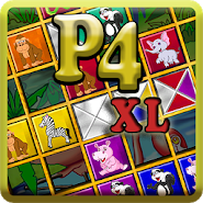 Passage 4 XL