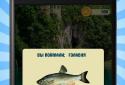 Good luck. Fishing.  screenshot 4