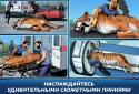 Operate Now: Animal Hospital screenshot 9